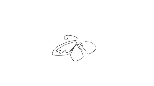 Animation of one line drawing of beautiful butterfly for company logo. Salon, spa healthcare business icon concept from cute animal shape. Continuous line self draw animated. Full length motion.