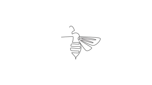 Animated self drawing of one continuous line draw elegant bee for company logo identity. Organic honey farm icon concept from wasp insect animal shape. Full length single line animation illustration.