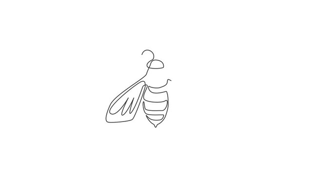 Animation of one single line drawing of cute bee for company logo identity. Honeybee farm icon concept from wasp animal shape. Continuous line self draw animated illustration. Full length motion.