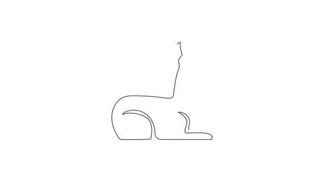 Animation of one line drawing of cute llama for company logo identity. Business corporation icon concept from animals typical of South America. Continuous line self draw animated. Full length motion.