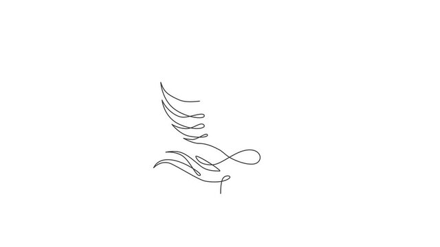 Animated self drawing of one continuous line draw elegant phoenix bird for company logo identity. Business icon concept from animal shape. Full length single line animation illustration.