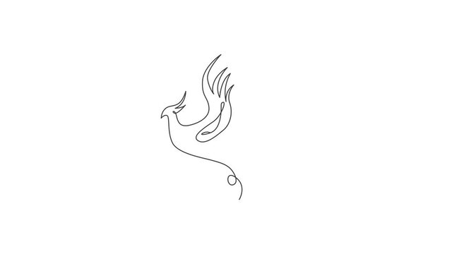 Animated self drawing of one continuous line draw elegant phoenix bird for company logo identity. Business icon concept from animal shape. Full length single line animation illustration.