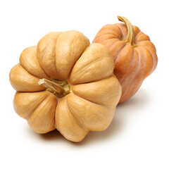 Orange pumpkin on white background 
