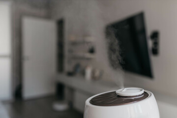 humidifier in the apartment, evaporator.