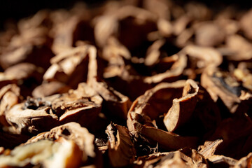 A lot of empty walnut shell. Textured background. Alternative fuel. Close-up. Copy space. Waste food. Brown color. Wallpaper. Banner. Beautiful still life on dark backdrop. Perspective view. Big heap