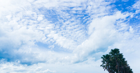 Blue sky on clear days background or texture.