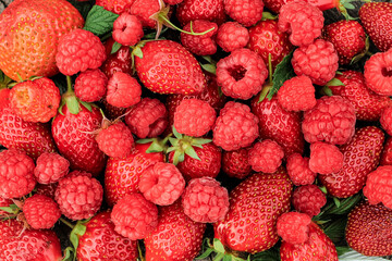 Heap of strawberries, raspberries on natural wooden background. New fresh harvest, summer, summertime, garden concept. Organic gresh natural diet eco friendly food. 