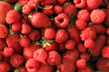 Heap of strawberries, raspberries on natural wooden background. New fresh harvest, summer, summertime, garden concept. Organic gresh natural diet eco friendly food. 