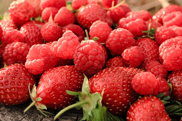 Heap of strawberries, raspberries on natural wooden background. New fresh harvest, summer, summertime, garden concept. Organic gresh natural diet eco friendly food. 