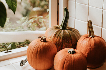 Halloween pumpkin harvest background in dark autumn mood
