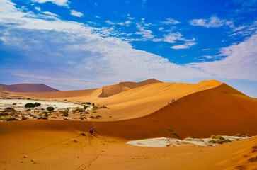 The red desert, dead trees, and tourists hiking in the sand dunes.