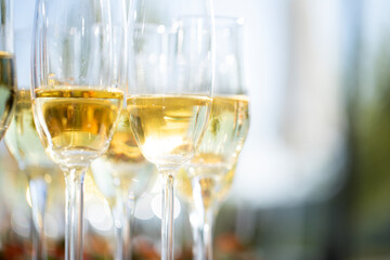 glasses of champagne on table