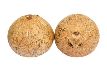 Two coconut isolated on a white background