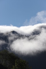 Foggy mountain landscape with fir forest. artvin