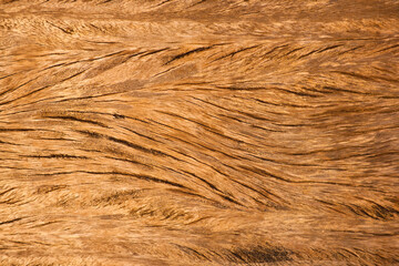 Natural Wooden Texture Background