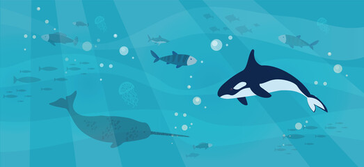 Underwater landscape with sea creatures. Large predatory marine mammals, killer whale and narwhal in ocean. Fish and marine life swimming in salty sea water. Whales and fishes, aquatic world © robu_s
