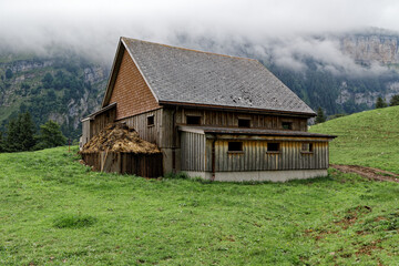 swiss mountain stable on a green spring meadow with big manure pile in front of the house, manure...