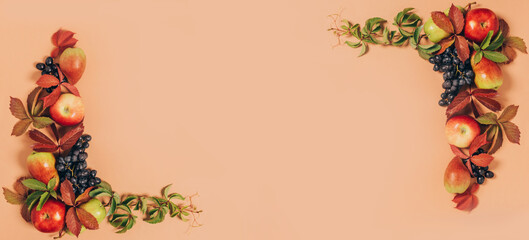 Autumn seasonal fruits apples pears grapes leaves pastel brown background. Thanksgiving harvest concept. Autumn vintage