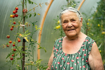 Portrait of a very old woman working in her garden in summer. Grandmother stays in the greenhouse...