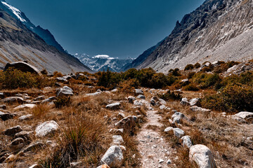 Country road in the mountains. Himalayas. Gangotri, Gaumukh, India.