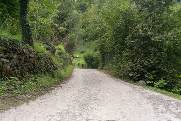 Mountain natural road goes into the distance