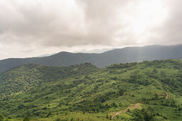 The mountain road winds below among the green mountains after a summer rain under a cloudy sky on a summer day