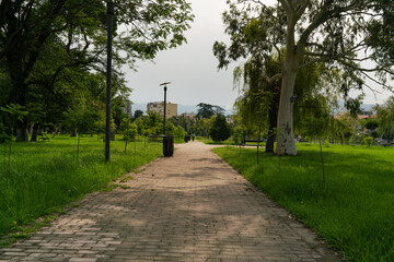 A path in a city park in the shade of a tree on a summer sunny morning with houses in the background and a light outline of the mountains in the morning haze