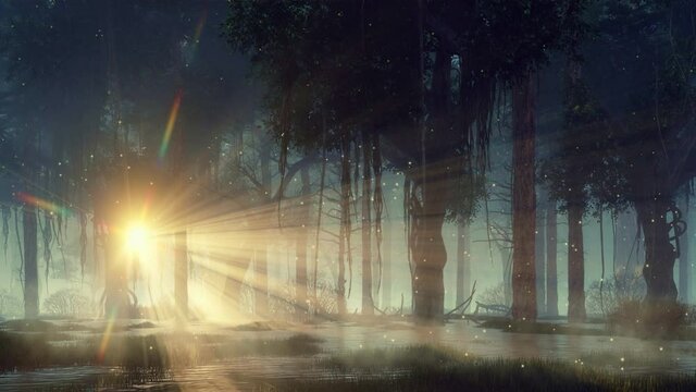 Mysterious forest swamp with supernatural fairy firefly lights flying in sunset rays shining through creepy dead tree silhouettes at dark misty dusk or night. Fantasy 3D animation rendered in 4K