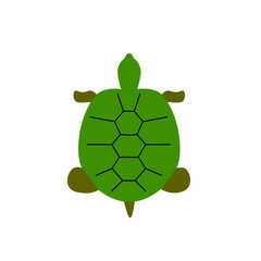 Turtle flat icon. Maldives marine life. Coral island. Exotic vacation. Isolated vector stock illustration