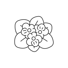 Violet olor line icon. Essential oils. Pictogram for web page, mobile app, promo.