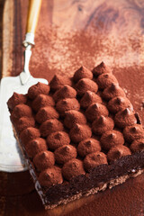 Tasty Tiramisu dessert on table