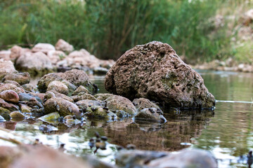 Rio Sellent-España con rocas
