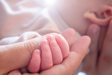Small baby hand in mother's hand. Close-up.