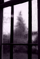 Mirando a travès de una ventana con barrotes de hierro con vidrio llovido y fondo de pino en boke en la habitacion de la casa.