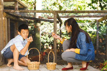 Asian brother and sister collecting eggs from hen house in garden © WavebreakMediaMicro