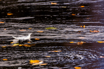 Autumn river in Muonio, Lapland, northern Finland