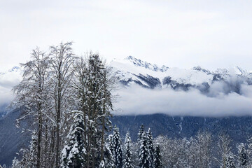 The concept is to be above the clouds. Rest in a ski resort. Russia, Sochi, Krasnaya Polyana, Mountain top surrounded by clouds