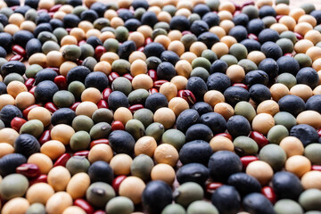 日本の大豆・黒豆・緑大豆・小豆のクローズアップ