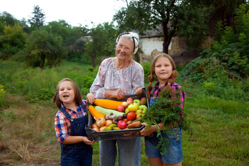 Grandmother in the garden with cildren and a harvest of vegetables. Selective focus. Food.