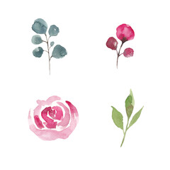 Paint of watercolor set leave and rose on background. Paint watercolor texture. Botanical art. Use for design invitations, birthdays, weddings