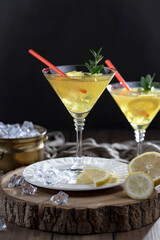 Refreshing summer alcoholic cocktail with crushed ice and citrus fruits
