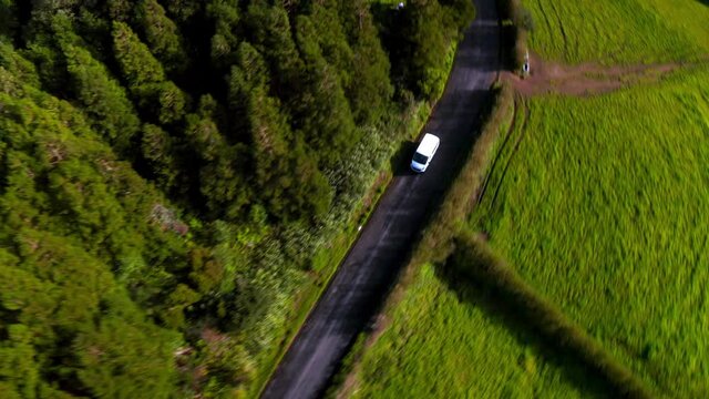 A high angle of a white microbus moving in a road between sunny farms with cattle and forest in Azores, Portugal