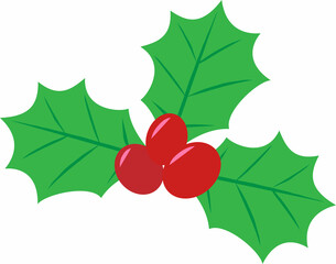 Christmas holly isolated