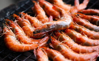 shrimps on the grill