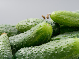 agricultural products green prickly cucumber on gray background