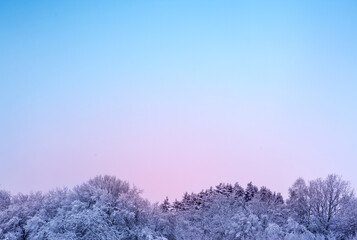 Winter panorama landscape with trees covered snow and sky.