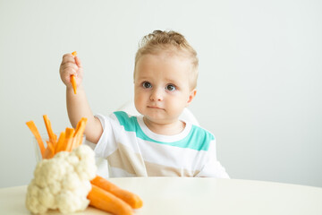 Baby boy sitting in a Childs chair eating carrot slices on white background.