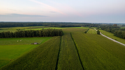 Obraz premium Land or landscape of green field in aerial view. Include agriculture farm, house building, village. That real estate or property. Plot of land for housing subdivision, development, sale or investment