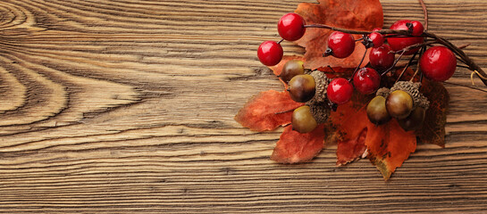 beautiful autumn leaves on wooden background. frame background