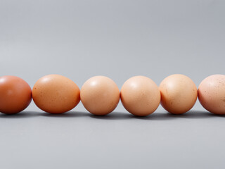 agricultural products chicken egg elite natural on a gray background
